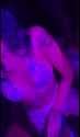 6963147952_thumb.jpg
