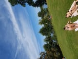 SpyPhoto_20240814_140626576
