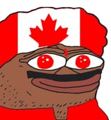 Authentic Canada fan