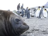 GuUC-qNWYAANTq7