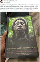 homosexuality is african