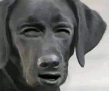 1728602531177150