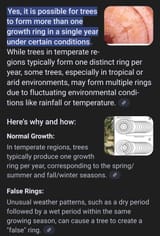 treeribgs