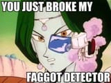 fag detector