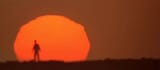 THX1138