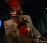 frog leroy 2