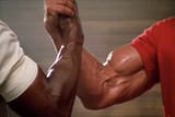 Predator handshake
