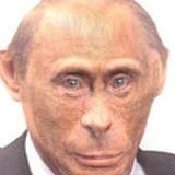 puchimp