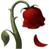 6bf78dd203a8887e215546255ede92bb4029a147b26f52b00aa2a33