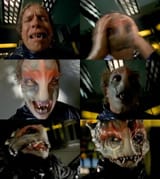 mesogog transformation