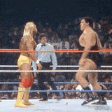 hit-in-the-head-terry-bollea