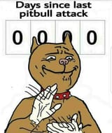 images (8)