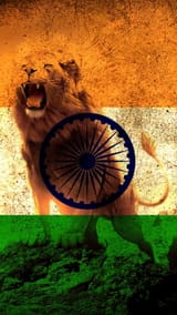 HD-wallpaper-india-army-indian-indian-army-indian-flag-king-lion-lions-military-service-navy