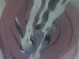 Belladonna