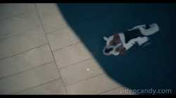 New Superman Clip_trimmed_thumb.jpg