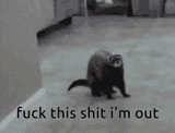 byeeee