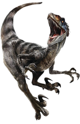 RebirthRaptor