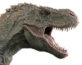 t-rex-dinosaur