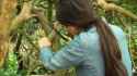 Jessica Henwick bushcraft_thumb.jpg