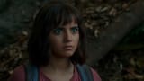 Dora alarm
