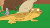 lizard2