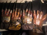 myfreddyglove4