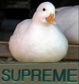 supreme
