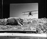 North by Northwest 1959