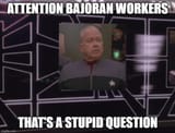 thats-a-stupid-question
