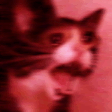 YAMERO
