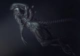 1751595876886079