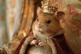 king mouse