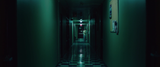 american_animals