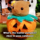 FB_IMG_1728070241247