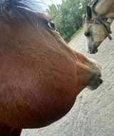 funny face