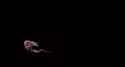 Night of the Demons title_thumb.jpg