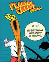 flaming carrot