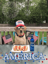 AMERICADAY
