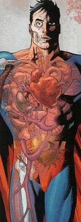 superman internal organs