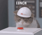 lunch-boi-lunch