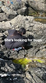 josie_looking_for_bugs