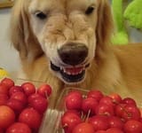 EwFZylkVcAECnub