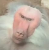 1673273798466504