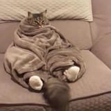 cozy