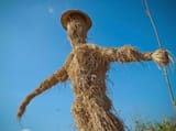 strawman1-1