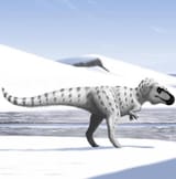 nanuqsaurus