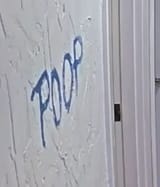 poop