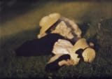 miss-mary-and-edeltrude-lying-in-the-grass-1910
