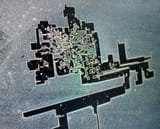 pfizer_microscopy_