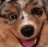 7573